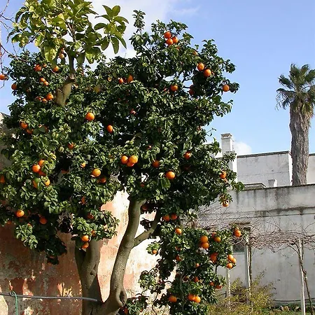 Francesca Stajano ファームステイ *