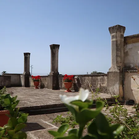 Francesca Stajano アレーツィオ