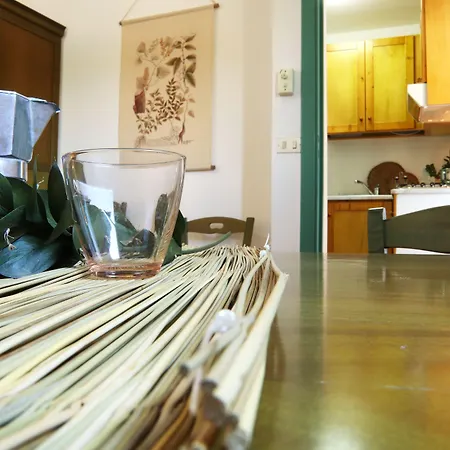 Francesca Stajano * アレーツィオ