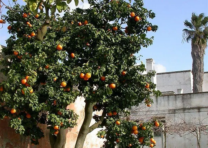 Francesca Stajano Lantgård *